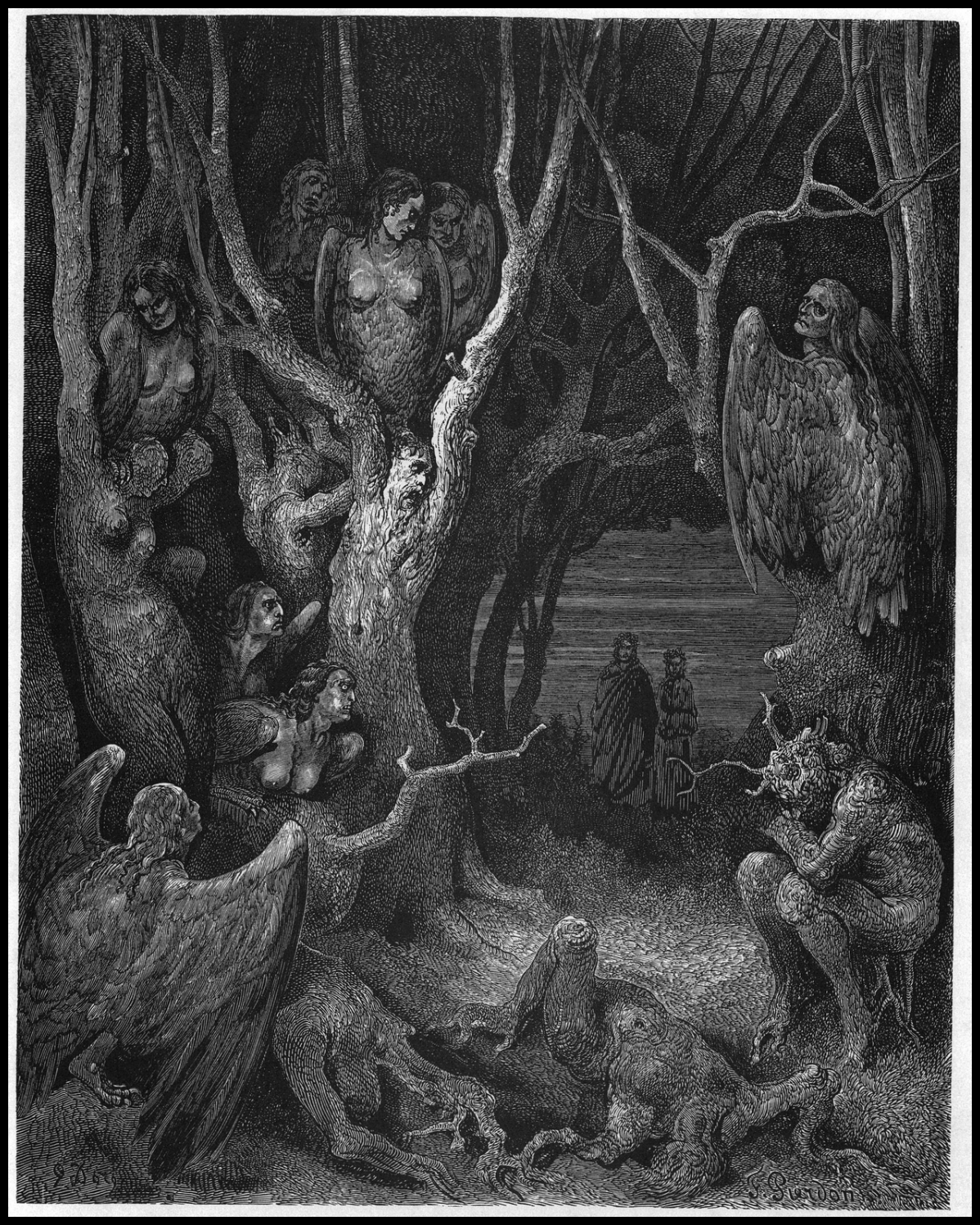 THE HARPIES' WOOD